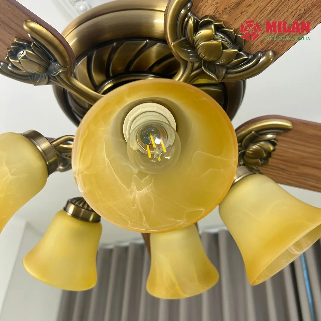 den-chum-quat-tran-den-chum-5-canh-fy503